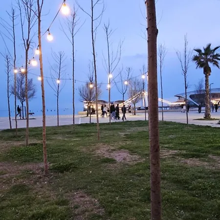 Library By Bohem Daire