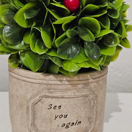 Library By Bohem * Дуррес