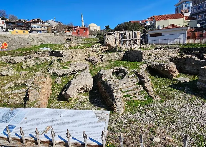 Apartment Library By Bohem *