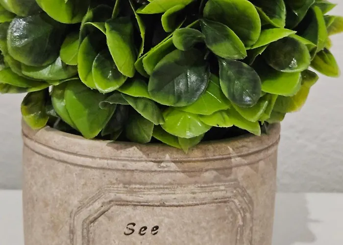 Library By Bohem * Durrës