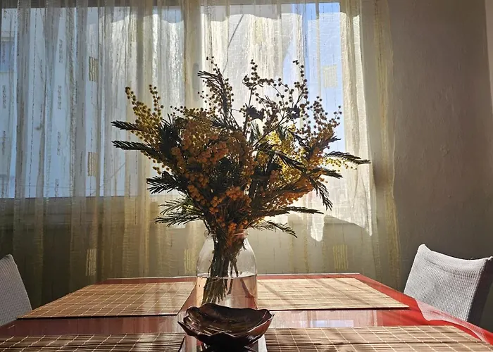 Apartment Library By Bohem Durrës